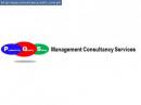 Management Consultancy Services Management Consultancy Services